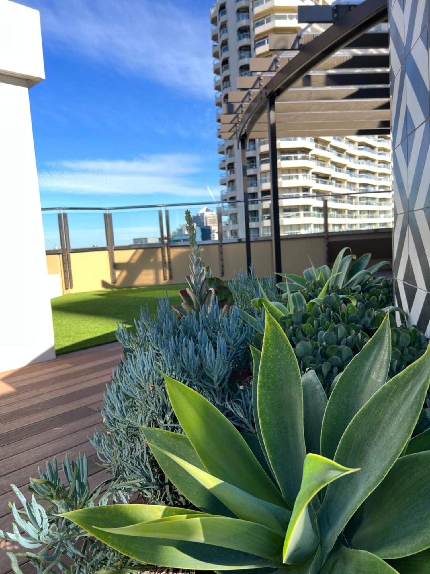 Sydney Hyde Park Private Apartments By Paxsafe エクステリア 写真